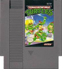 Teenage Mutant Ninja Turtles (USA)